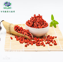 枸杞子